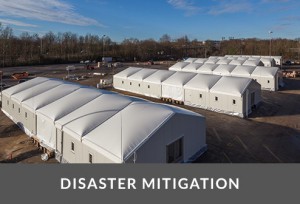 Disaster Mitigation